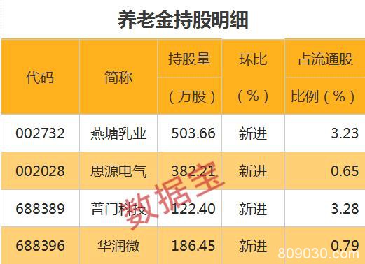 国家队重仓股曝光！社保、养老金同时盯上两股 包括一只半导体龙头股