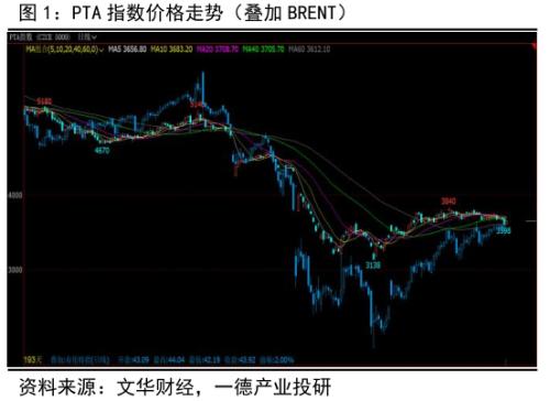 PTA&；；；；；；；；；；；；；；；MEG ・？扩能叠加疫情 聚酯双熊筑底路漫漫丨半年报