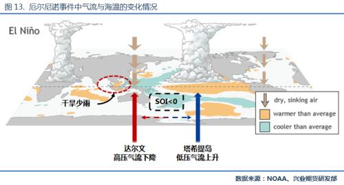 【专题报告】天胶后市行情展望：温火慢炖，转向厚积爆发