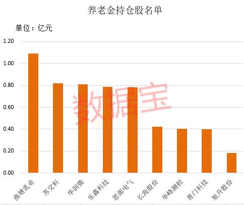 国家队调仓路线图：养老金盯上9股 最牛持仓股大涨373%