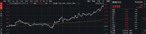 与世界为敌？特朗普“通知”联合国制裁伊朗 美媒担忧将出现“大选噩梦”