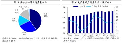 海通宏观：涨价的粮食 会是下一个“口罩”吗