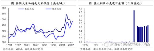 海通宏观：涨价的粮食 会是下一个“口罩”吗