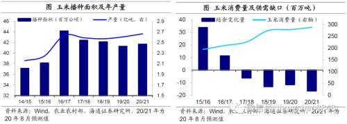 海通宏观：涨价的粮食 会是下一个“口罩”吗