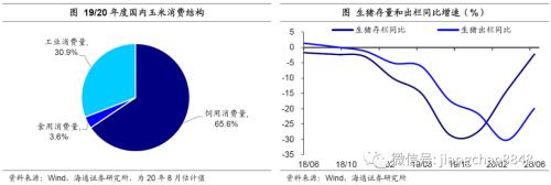 海通宏观：涨价的粮食 会是下一个“口罩”吗