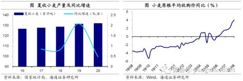 海通宏观：涨价的粮食 会是下一个“口罩”吗