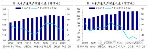 涨价的粮食 会是下一个“口罩”吗?