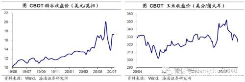 涨价的粮食 会是下一个“口罩”吗?