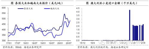 涨价的粮食 会是下一个“口罩”吗?