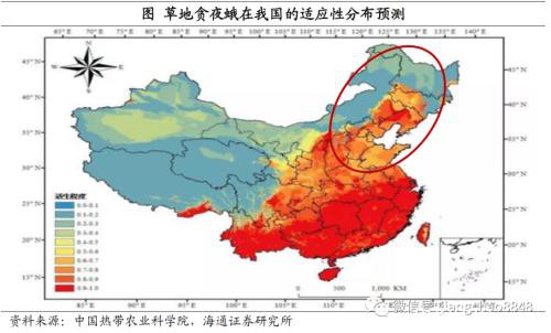 涨价的粮食 会是下一个“口罩”吗?