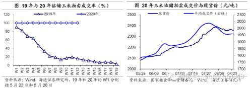 涨价的粮食 会是下一个“口罩”吗?