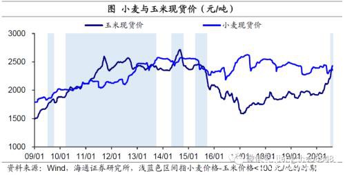 涨价的粮食 会是下一个“口罩”吗?