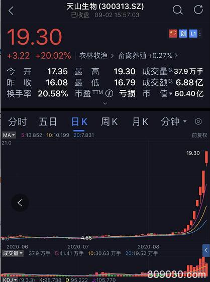 创业板疯了：妖股连续5个20%涨停 更有马云出手一天暴涨250%