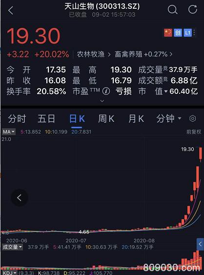 创业板疯了：妖股连续5个20%涨停 更有马云出手一天暴涨250%